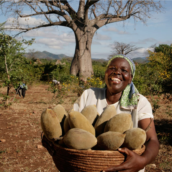 Terre D'Afrique-73